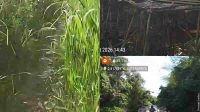 IMG-20260319-WA0008