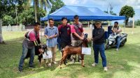 IMG-20260526-WA0035