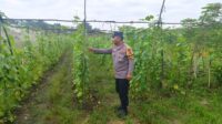 IMG-20260714-WA0001