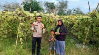IMG-20260724-WA0004