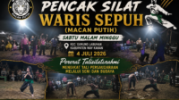 file_00000000a19071fb9e6727d33214f790
